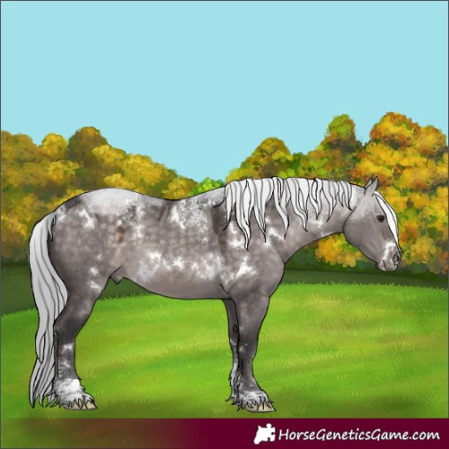 Horse Color:Powder White Platinum White Spotted Silver Brown Dun Rabicano 