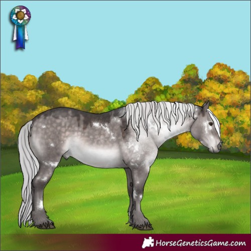 Horse Color:Platinum White Spotted Silver Brown Dun Rabicano