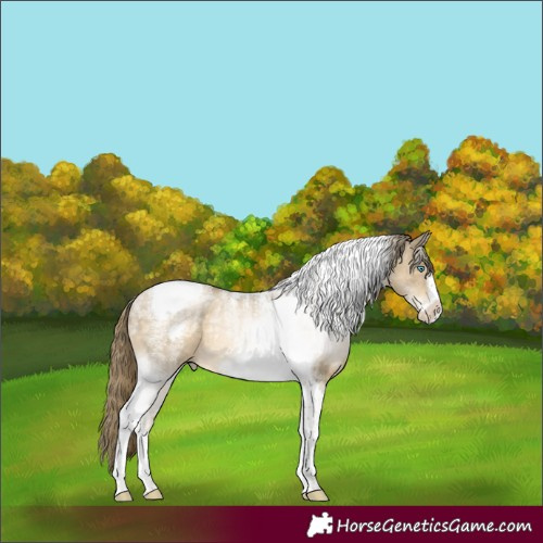 Horse Color:Powder White Buckskin Pearl Tobiano Frame Rabicano