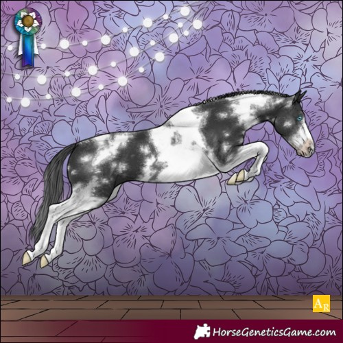 Horse Color:White Spotted Black Tobiano Frame