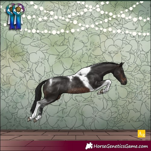 Horse Color:Gray Brown Tobiano Rabicano
