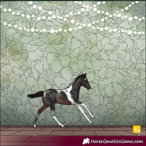 Horse Color:Gray Brown Tobiano Rabicano