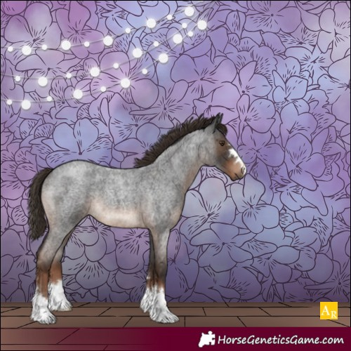 Horse Color:Liver Red Roan 