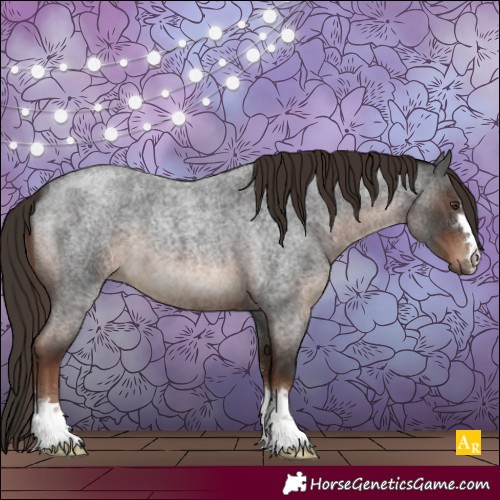 Horse Color:Liver Red Roan 