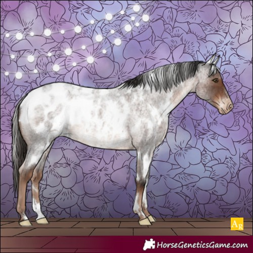 Horse Color:White Spotted Liver Red Roan Appaloosa 