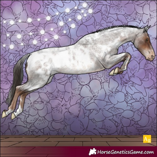 Horse Color:White Spotted Liver Red Roan Appaloosa