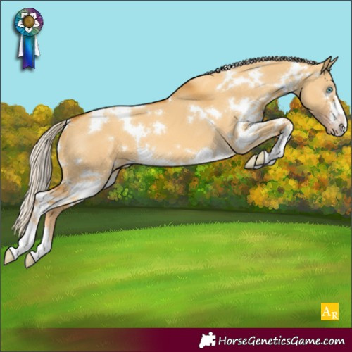 Horse Color:White Spotted Gold Cream Champagne Dun 