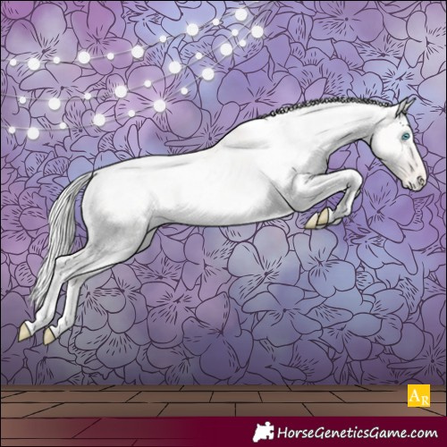 Horse Color:White Spotted Cremello Dun Appaloosa