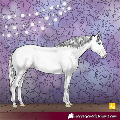 Horse Color:White Spotted Cremello Dun Appaloosa 