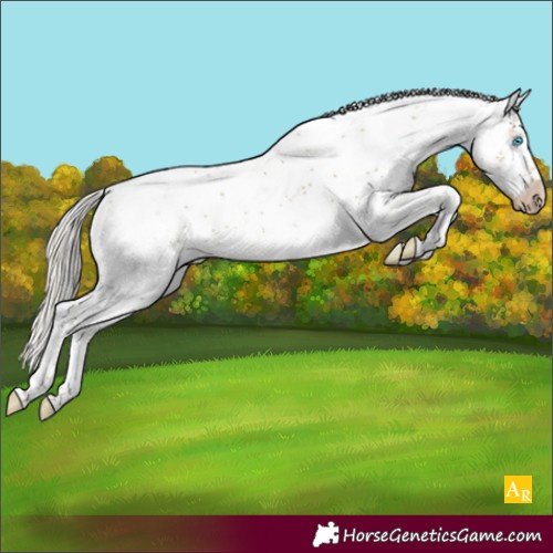Horse Color:Gray Silver Smoky Black Pearl Sabino Rabicano 