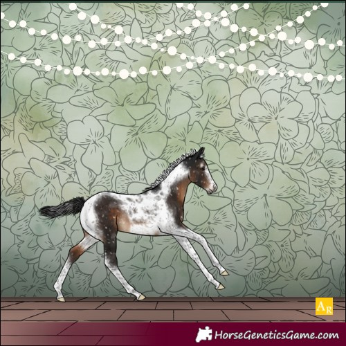 Horse Color:Gray Brown Tobiano Frame Appaloosa Rabicano 