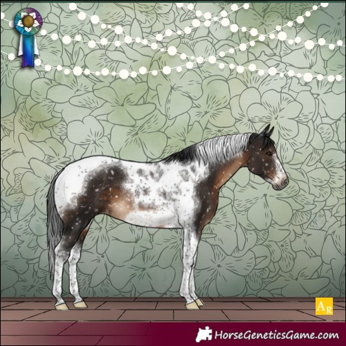 Horse Color:Gray Brown Tobiano Frame Snowflake Varnish Rabicano 