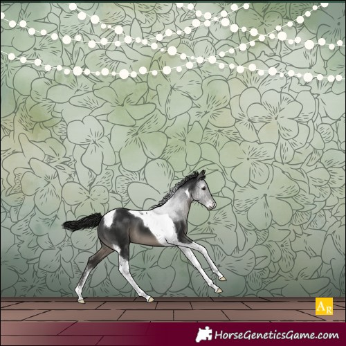 Horse Color:Gray Smoky Black Sabino Tobiano Appaloosa 