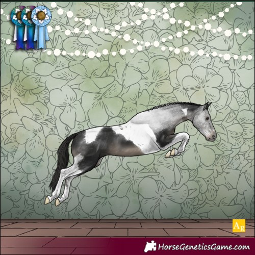 Horse Color:Gray Smoky Black Sabino Tobiano Varnish 