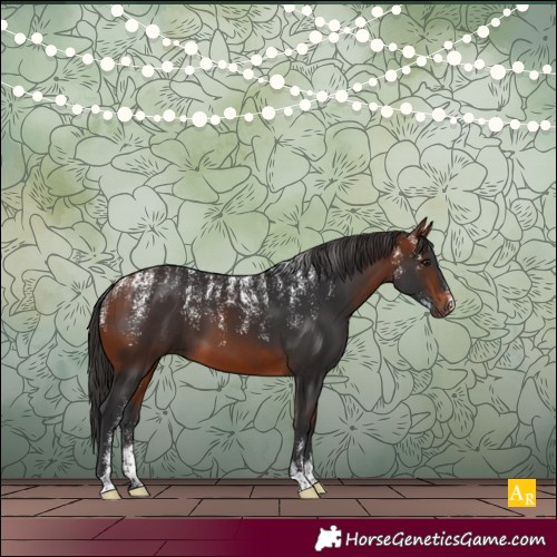 Horse Color:Powder White Bay