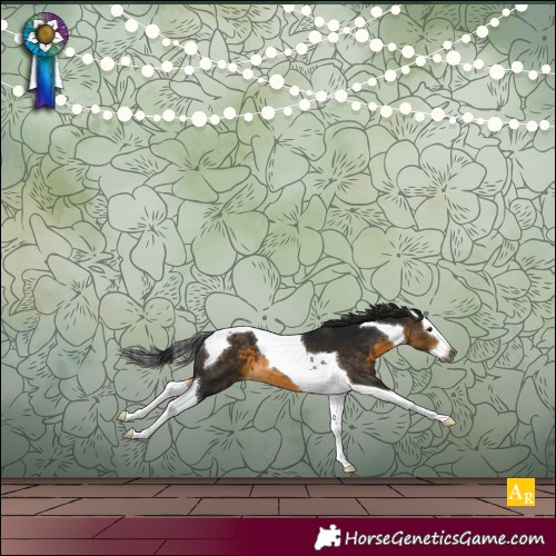Horse Color:Gray Buckskin Splash Tobiano