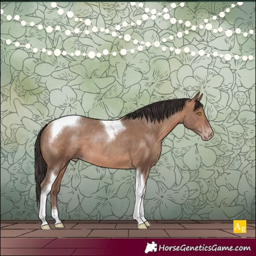 Horse Color:Sable Champagne Tobiano 