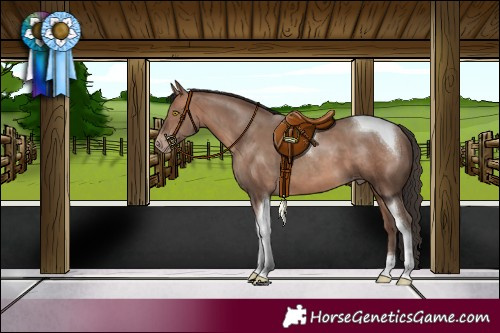Horse Color:Sable Champagne Tobiano 
