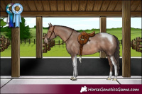 Horse Color:Sable Champagne Tobiano