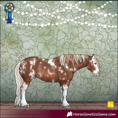 Horse Color:White Spotted Chestnut Splash Rabicano