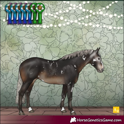 Horse Color:Gray White Spotted Silver Brown Splash Rabicano