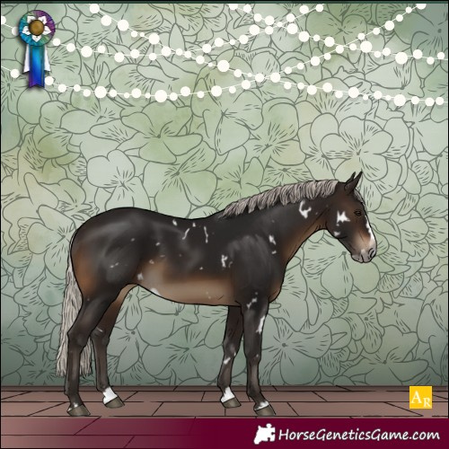 Horse Color:Gray White Spotted Silver Brown Splash Rabicano 