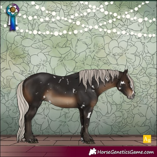 Horse Color:Gray White Spotted Silver Brown Splash Rabicano 