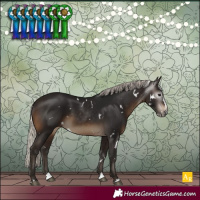 Horse Color:Gray White Spotted Silver Brown Splash Rabicano 