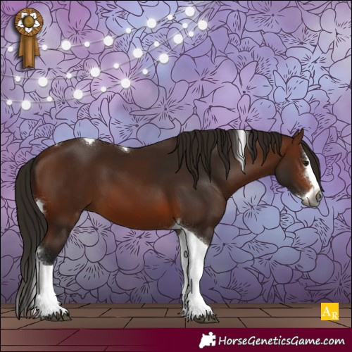Horse Color:Gray Bay Splash Tobiano 