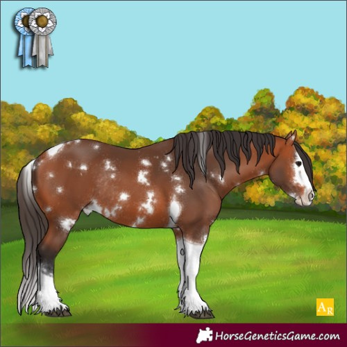 Horse Color:White Spotted Bay Splash Tobiano Rabicano