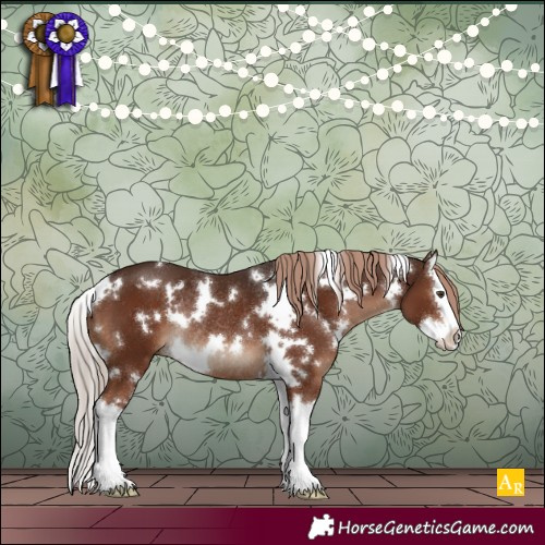 Horse Color:White Spotted Liver Chestnut Splash Rabicano 