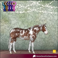 Horse Color:White Spotted Liver Chestnut Splash Rabicano 