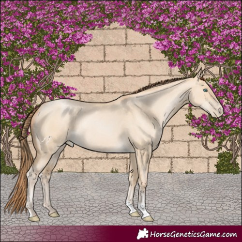 Horse Color:Smoky Grullo Pearl 