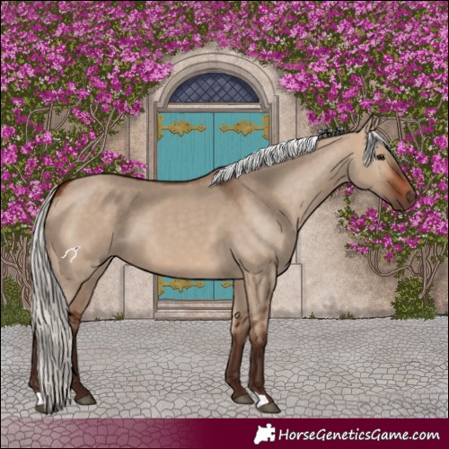 Horse Color:Silver Brown Dun 