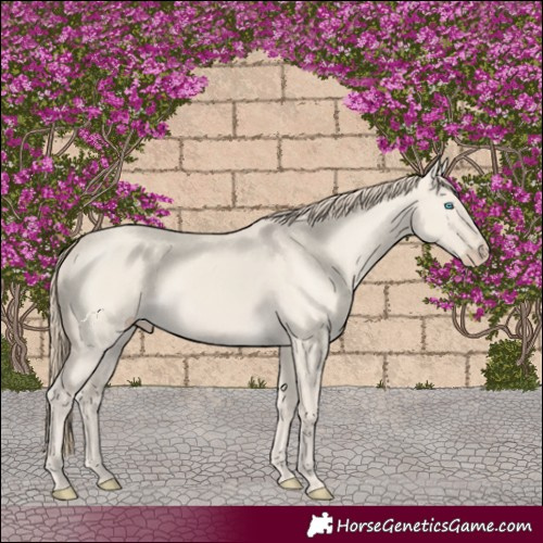 Horse Color:Smoky Creme Dun 