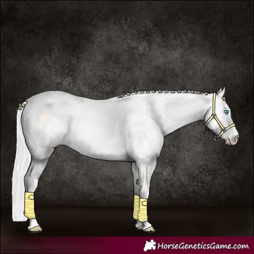 Horse Color:Cremello Dun 