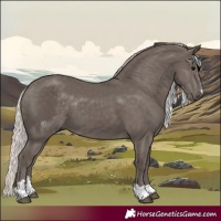Horse Color:Silver Black