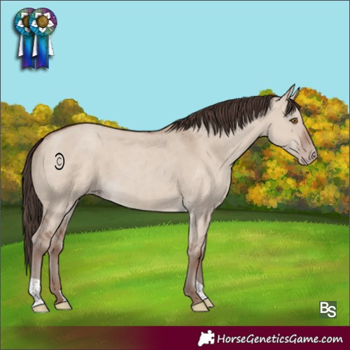 Horse Color:Classic Champagne Dun