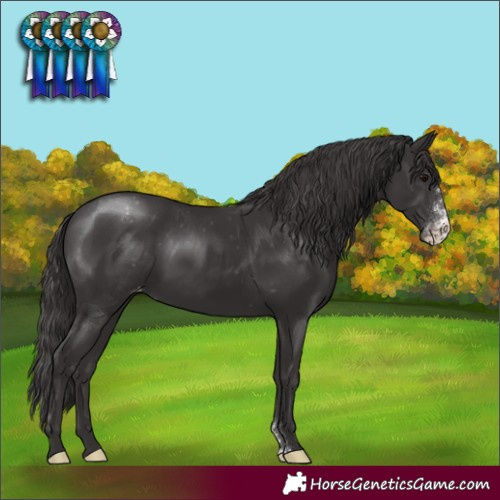 Horse Color:Smoky Black Sabino Varnish 