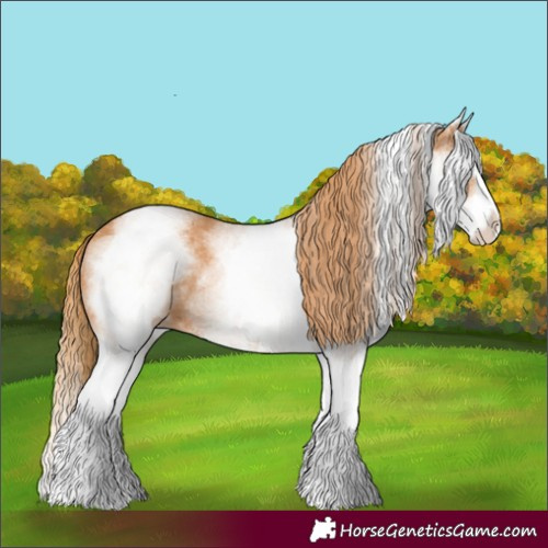 Horse Color:White Spotted Chestnut Splash