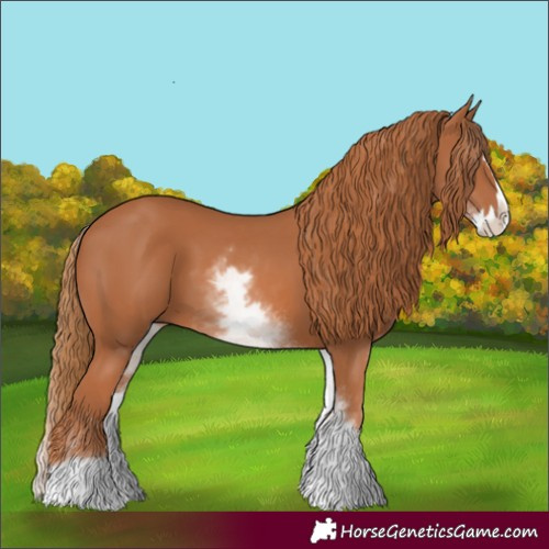 Horse Color:White Spotted Chestnut Splash