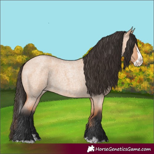 Horse Color:Bay Roan Dun Splash