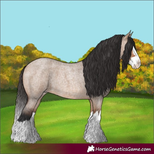 Horse Color:Bay Roan Dun Splash
