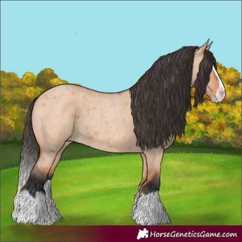Horse Color:Bay Roan Dun Splash