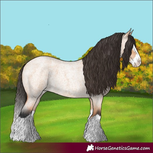 Horse Color:Bay Roan Dun Splash 
