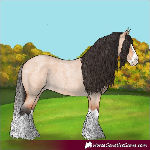 Horse Color:Bay Roan Dun Splash