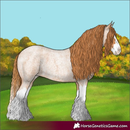 Horse Color:Red Roan Splash