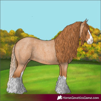 Horse Color:Red Roan Splash 