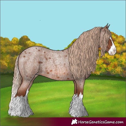 Horse Color:Red Roan Splash 