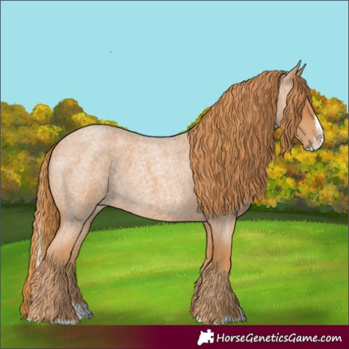 Horse Color:Red Roan Splash 
